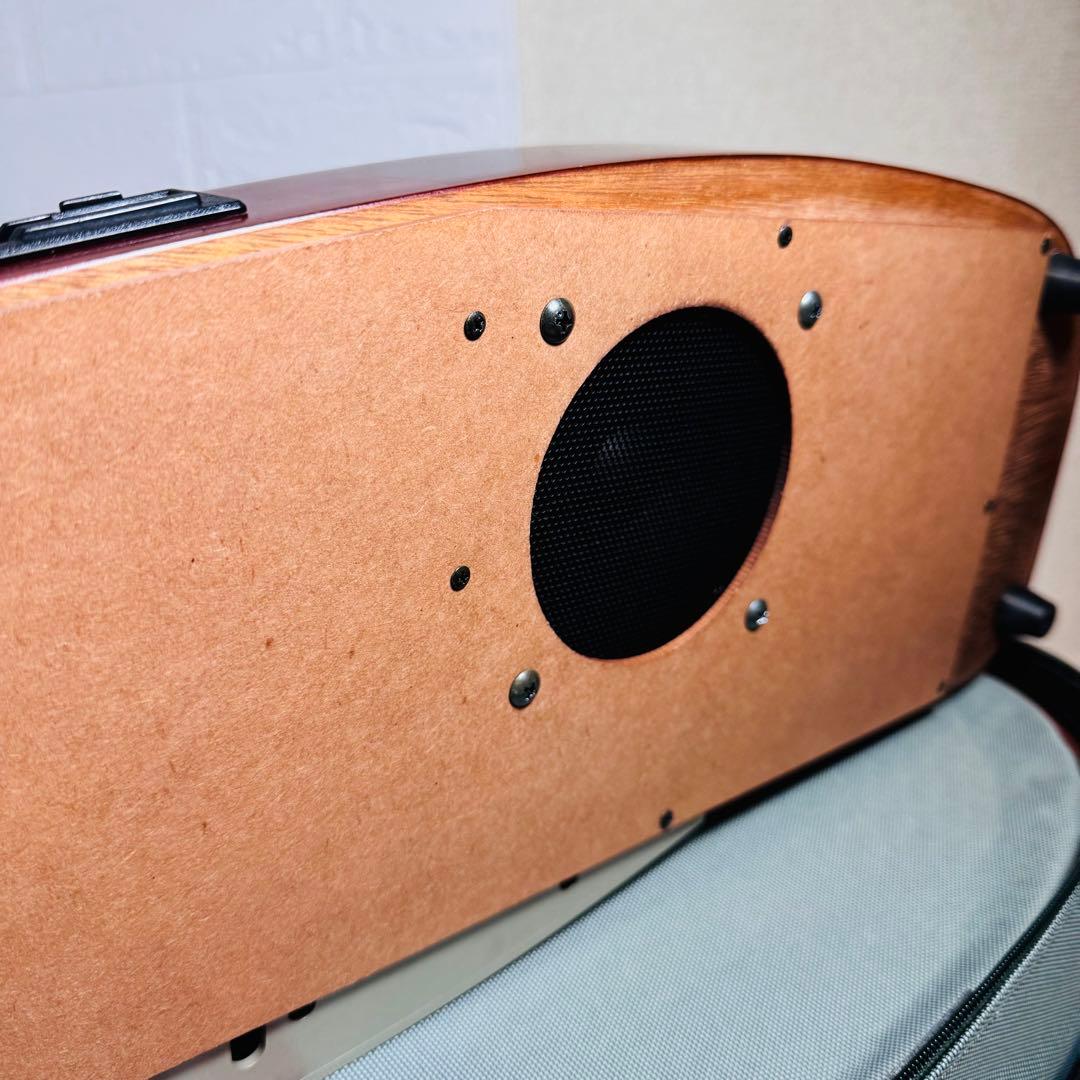 SUZUKI スズキ あゆ 大正琴 伴奏機能付き TES-151