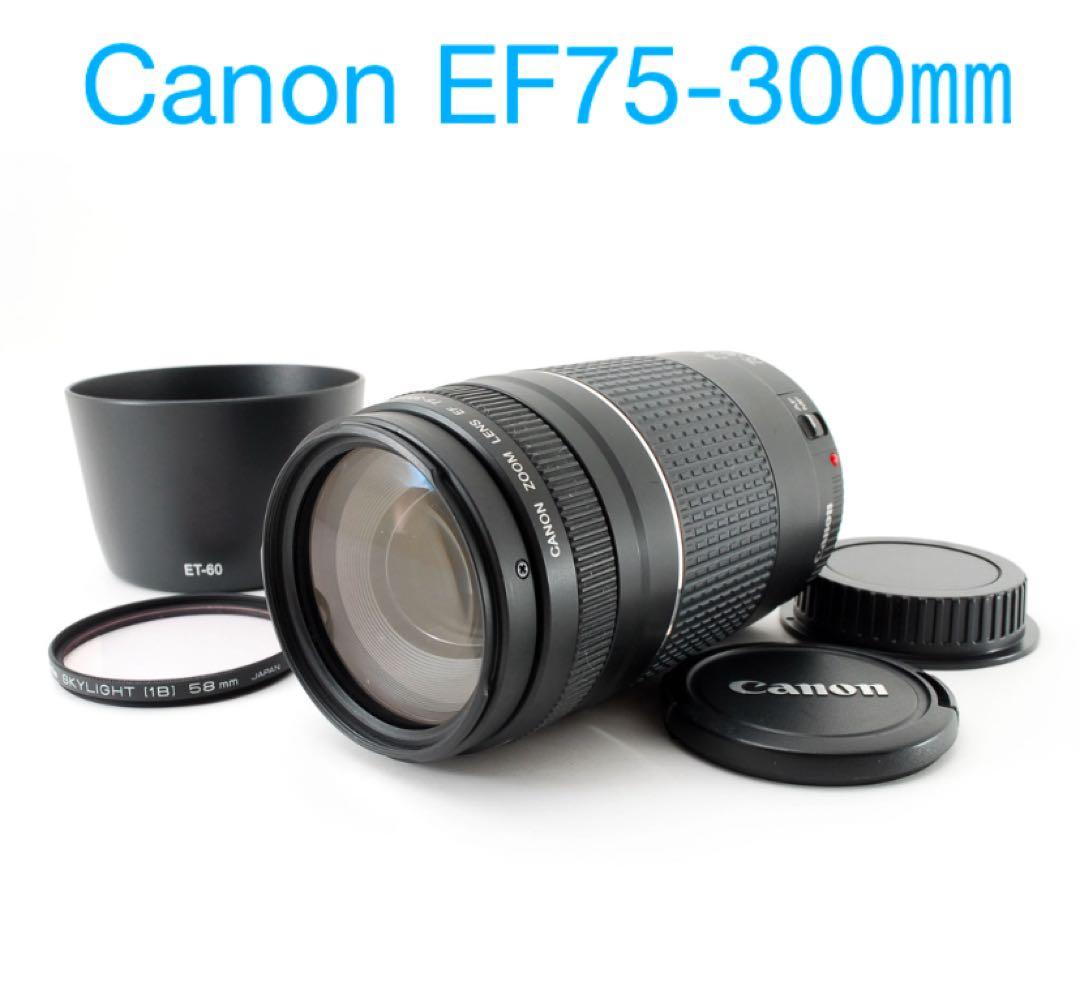 ☆人気の望遠レンズ☆フード付き☆キヤノン☆Canon EF75-300㎜☆