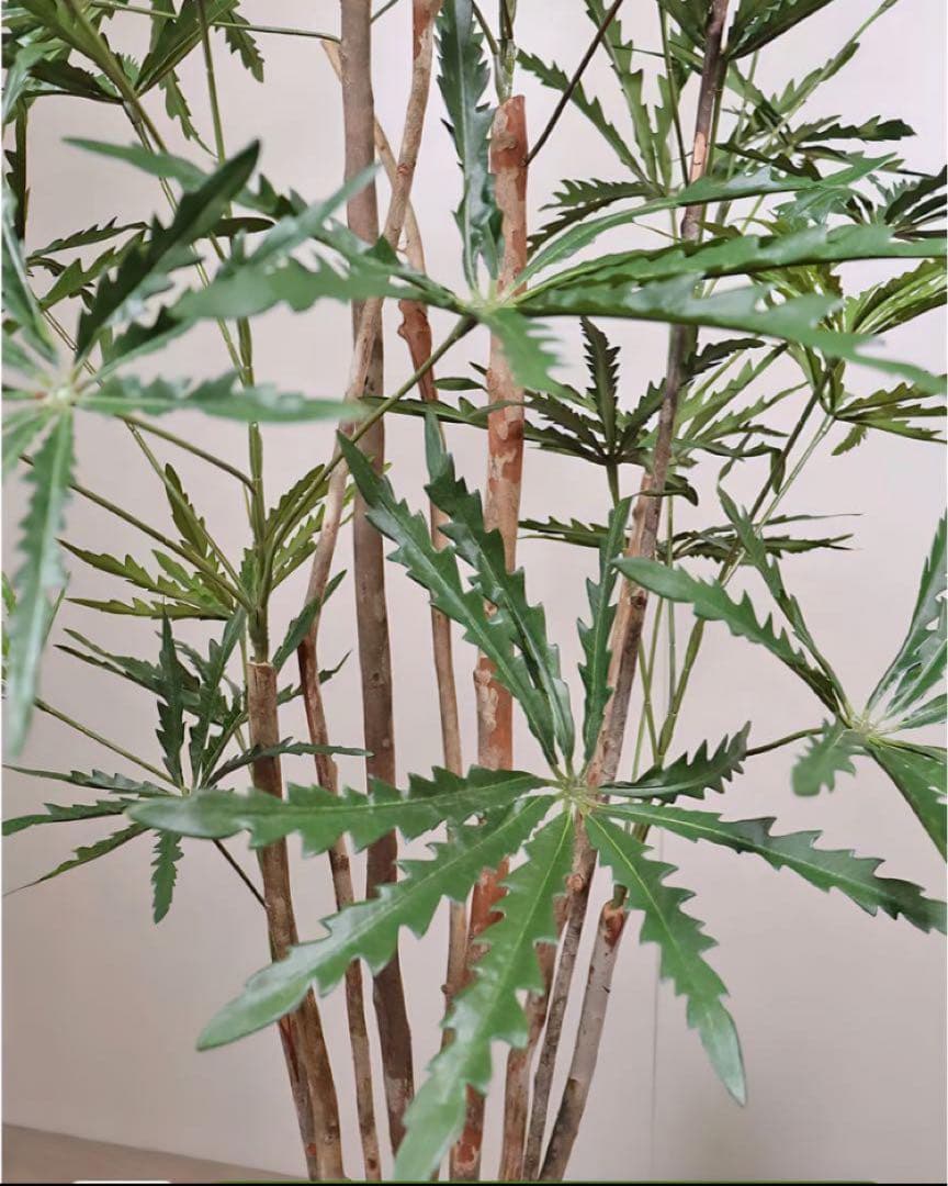 光触媒　人工観葉植物　ウォールグリーン　フェイクグリーン　アラレアgtj