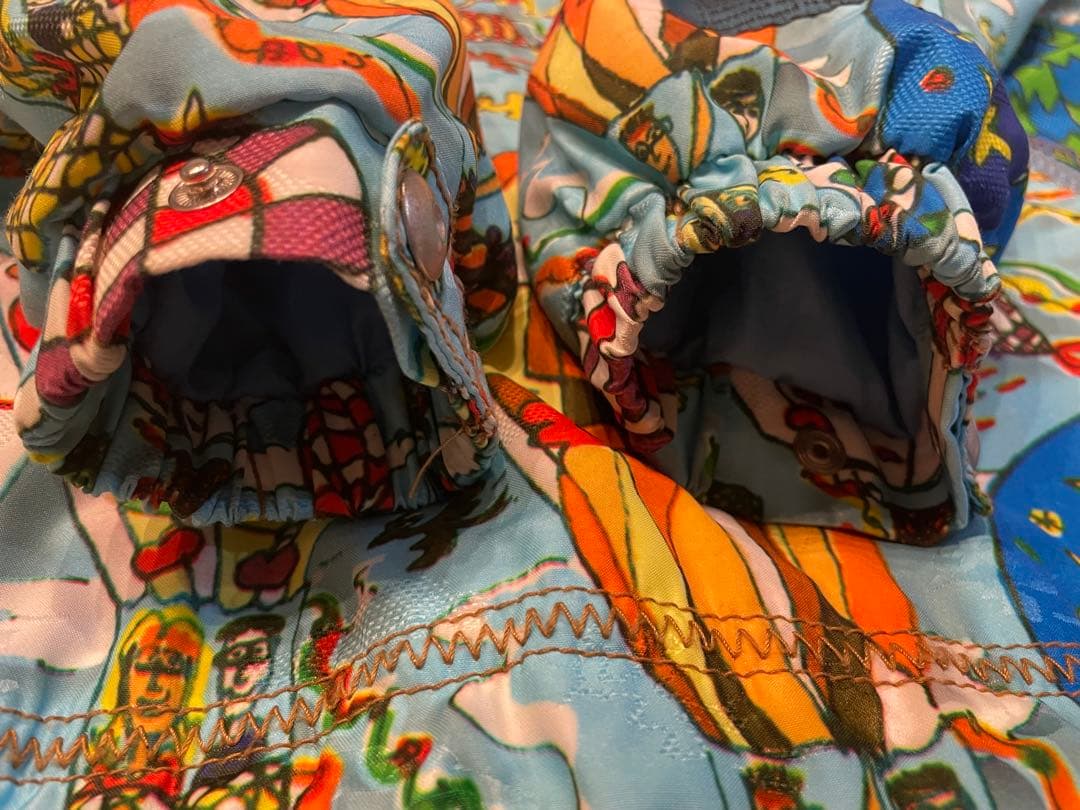 James Rizzi 画家 レア スキーウェア ボード 9 美品 M - メルカリ