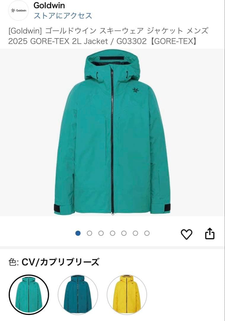 Goldwin スキーウェア cv(グリーン) gore-tex asiaXXL - スキー買う