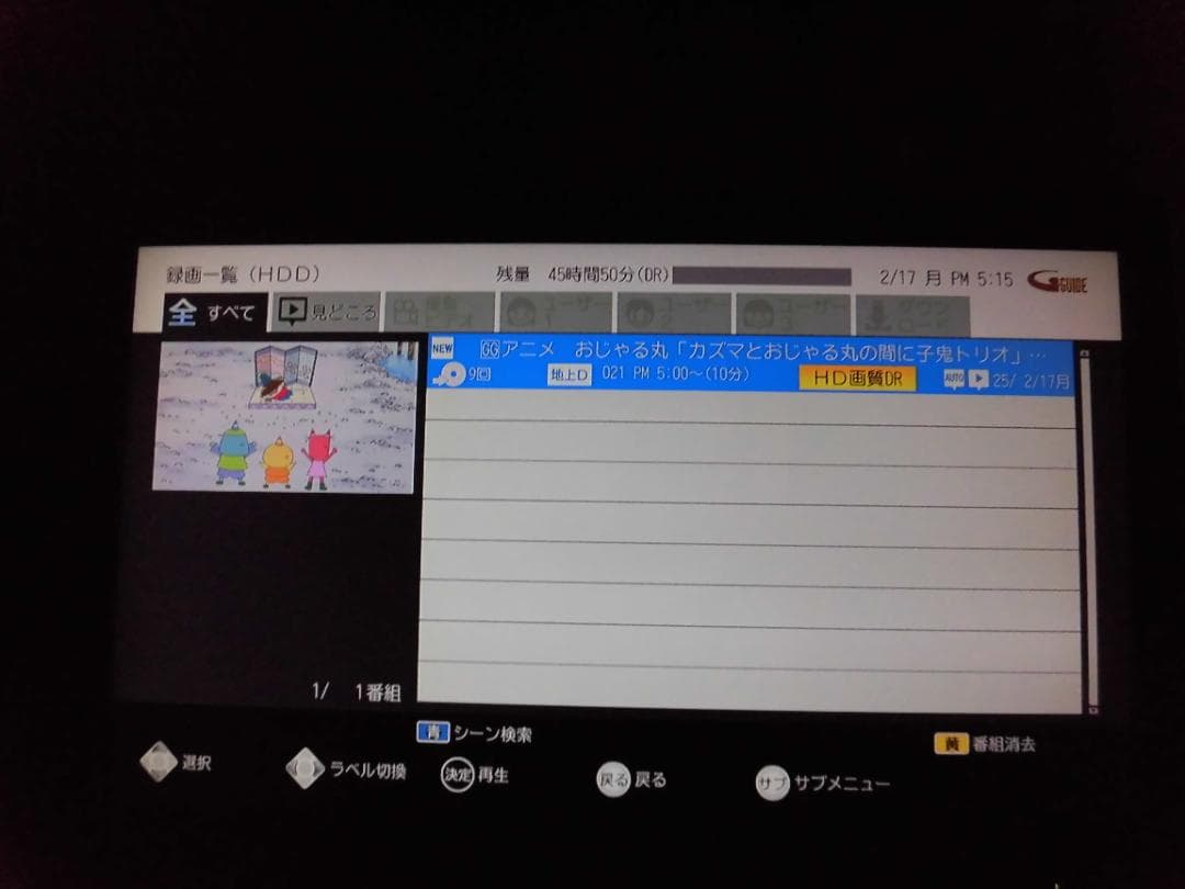 ミツビシ　ＤＶＲ-ＢＺ250