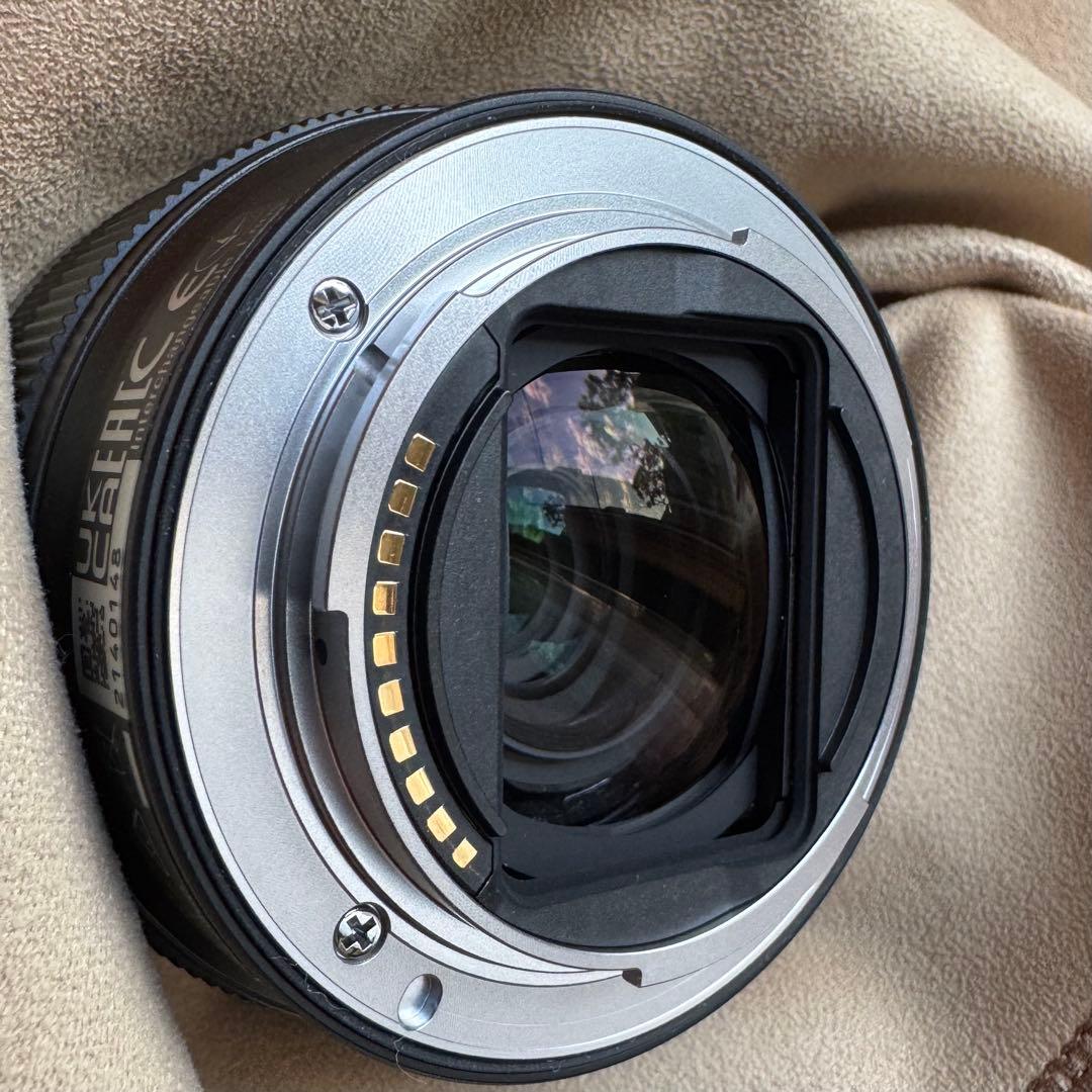 SONY FE 28-60mm ズームレンズ SEL2860