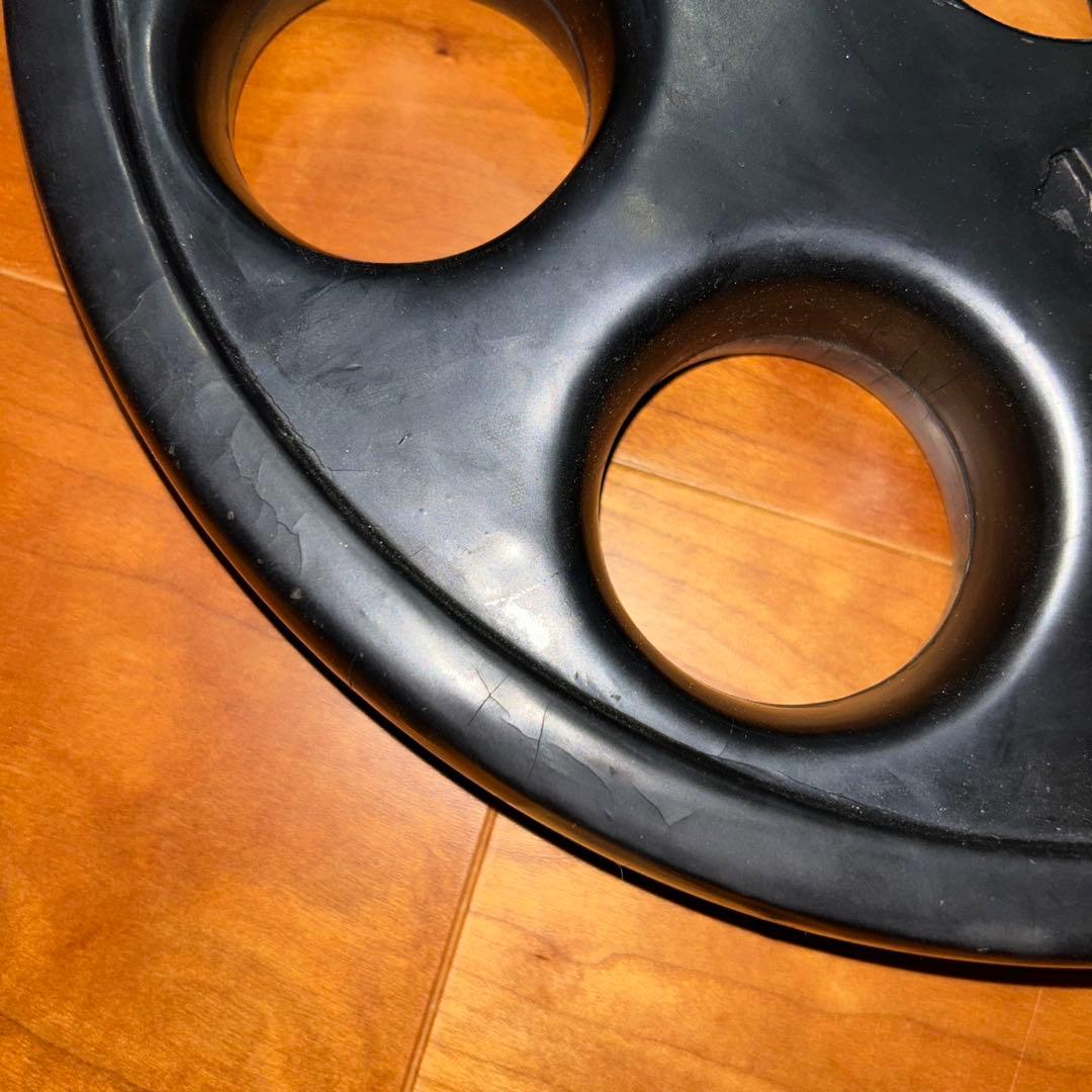 IVANKO(イヴァンコ) ROEZH オリンピックプレート 10kg×2枚