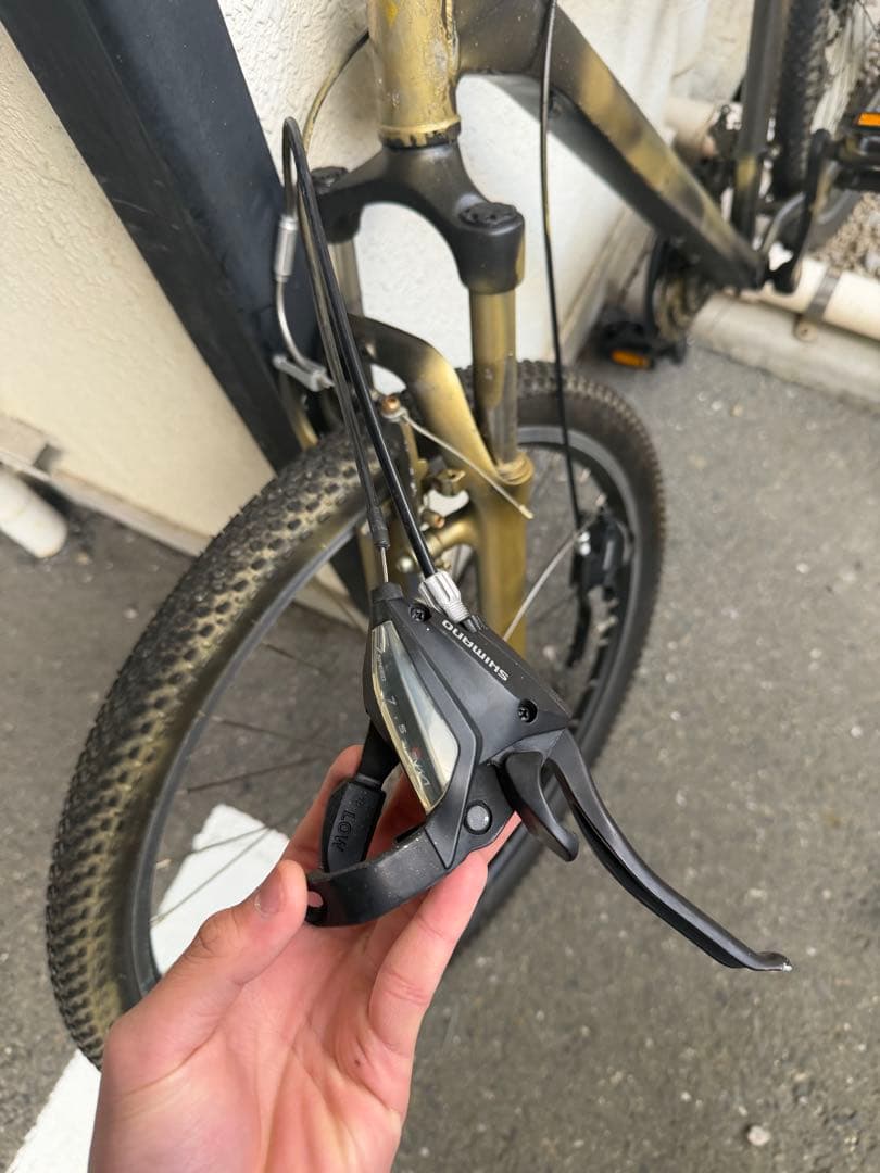 カグラ塗装マウンテンバイク