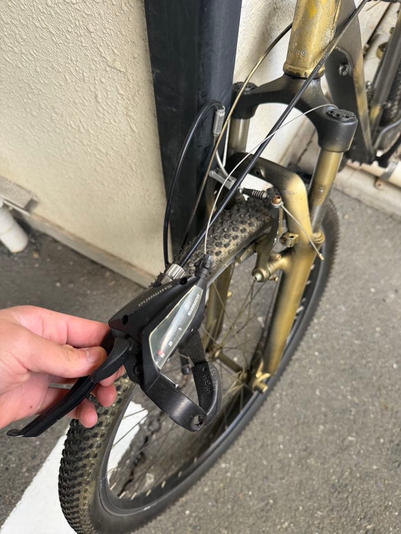 カグラ塗装マウンテンバイク