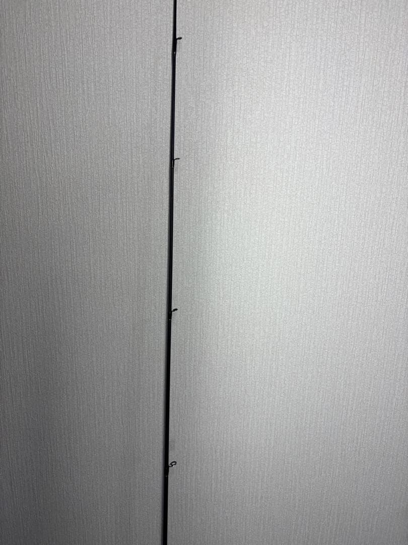 エバーグリーン　カレイド　デジーノスティングレイ66