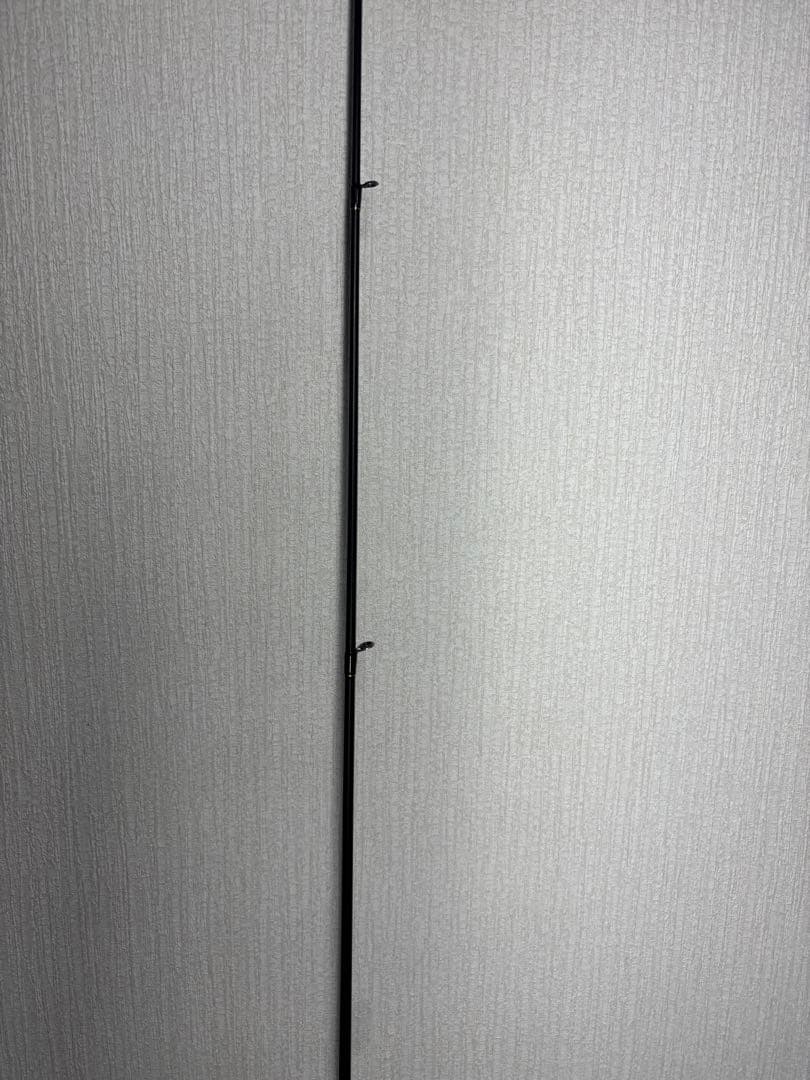 エバーグリーン　カレイド　デジーノスティングレイ66