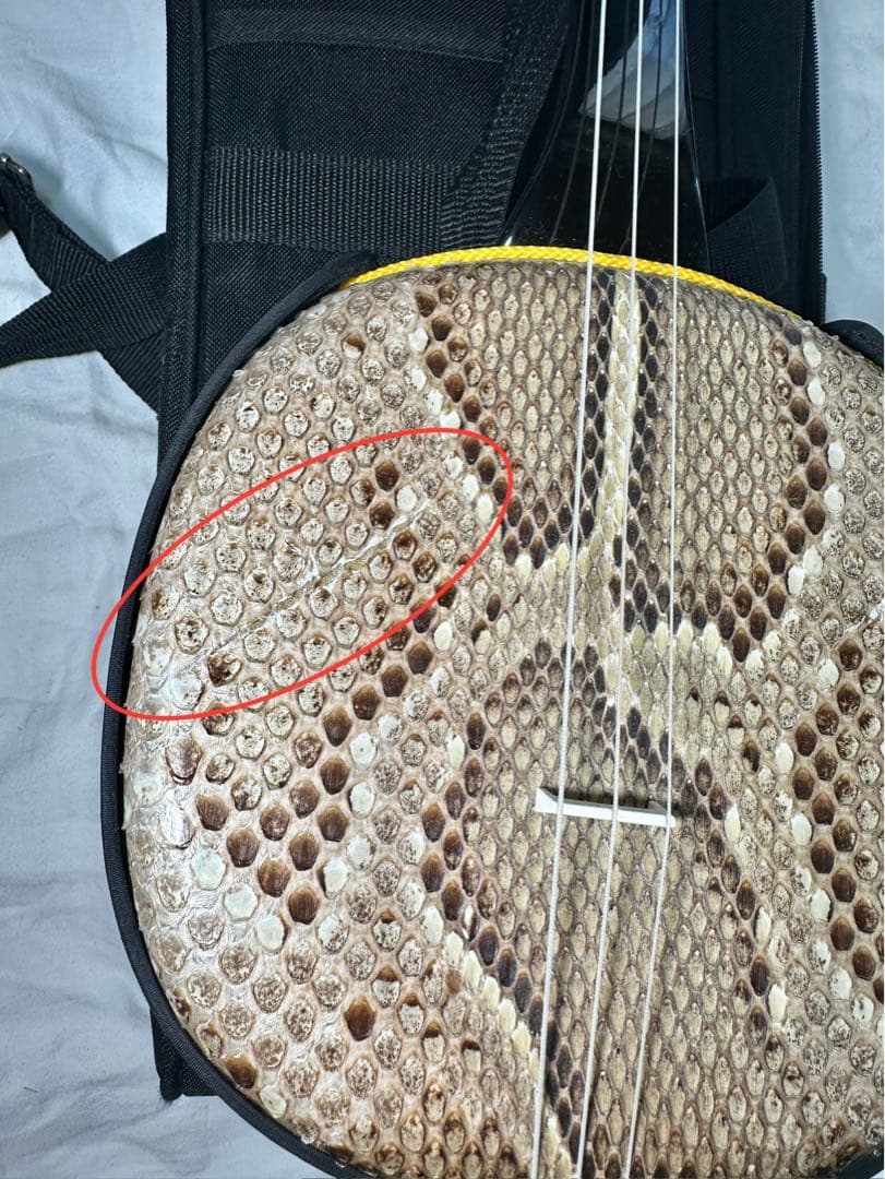 沖縄三線（おきなわさんしん）蛇皮本皮強化張り　替弦、専用ソフトケース付き