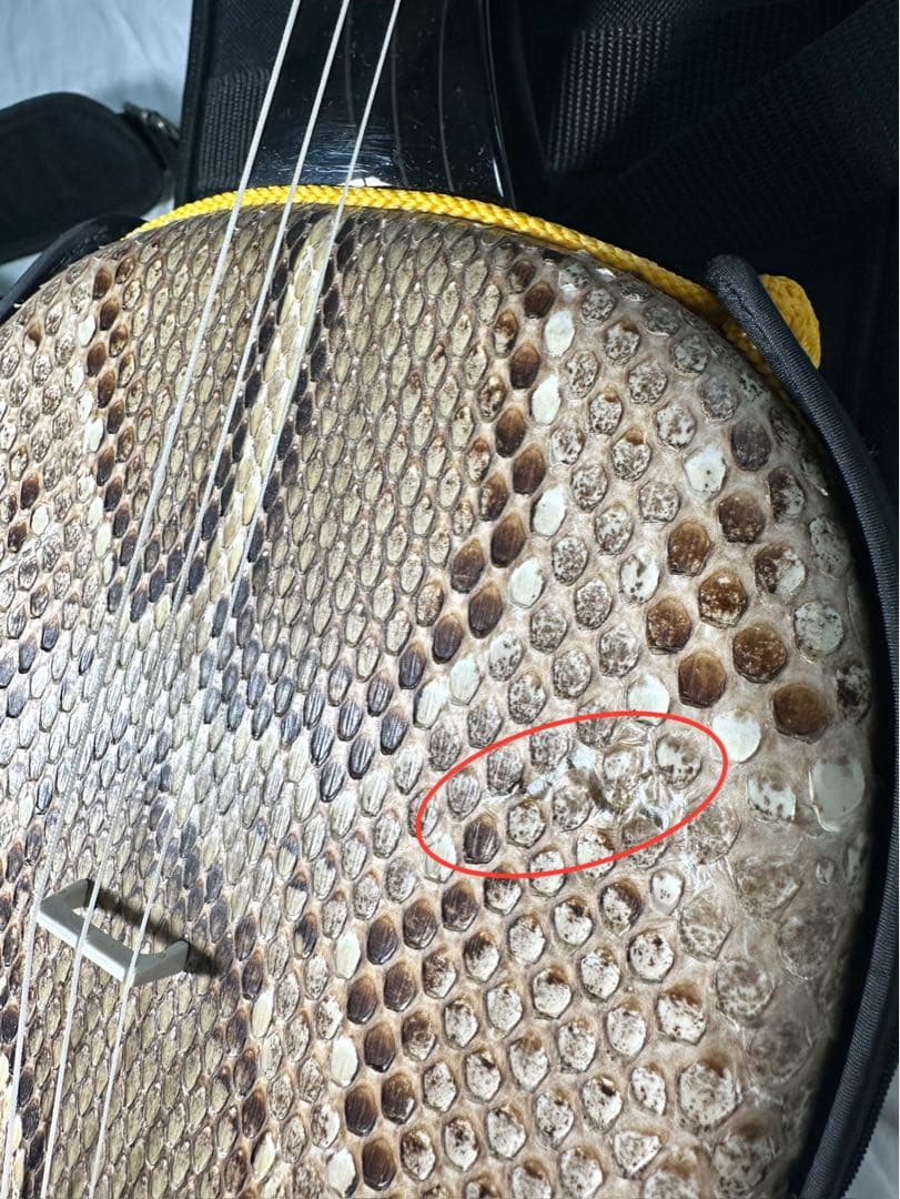 沖縄三線（おきなわさんしん）蛇皮本皮強化張り　替弦、専用ソフトケース付き