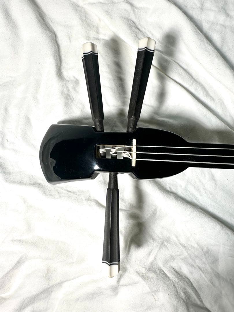 沖縄三線（おきなわさんしん）蛇皮本皮強化張り　替弦、専用ソフトケース付き