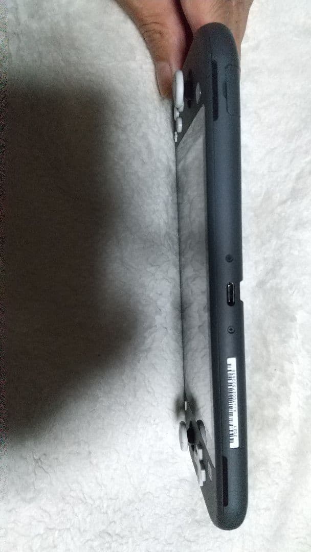 Nintendo Switch Lite グレー 本体 動作品 良品