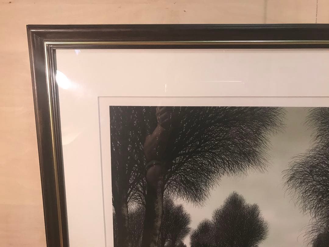 ロビーさま専用デペルト「バルドランドのゴルフ場・シャンタコゴルフ