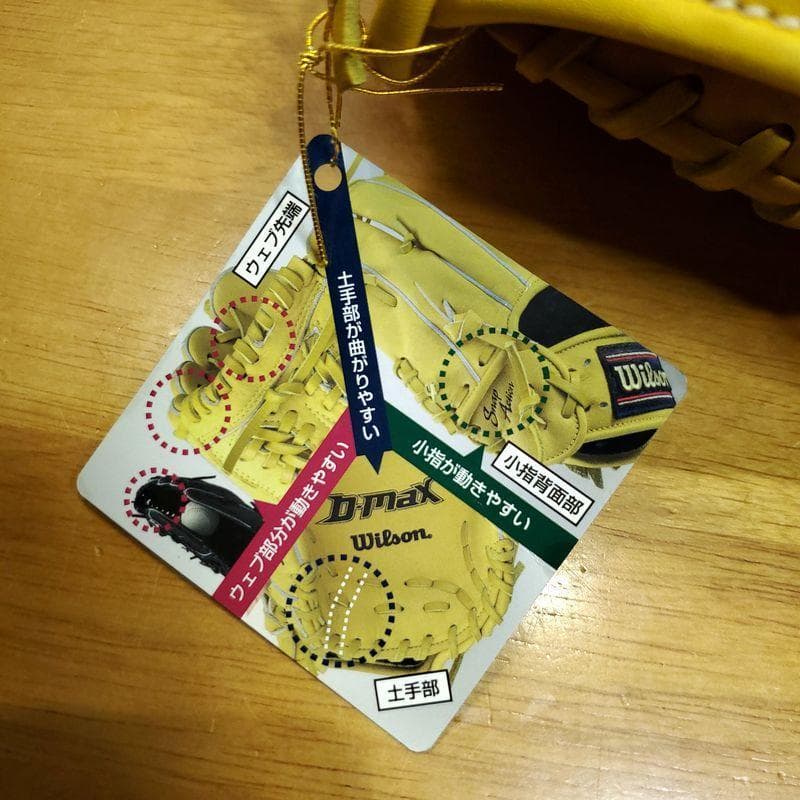 ウイルソン Wilson 木佐貫洋 直筆サイン入り 未使用品 軟式グローブ