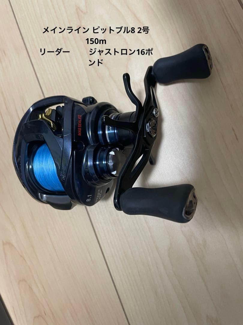 ダイワ 21スティーズA TW HLC 8.1R
