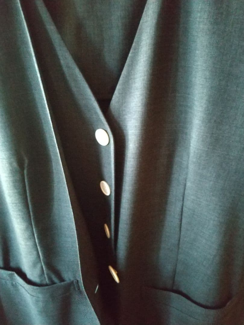 ☆美品☆エンフォルド ベストレイヤード オールインワン コンビネゾン