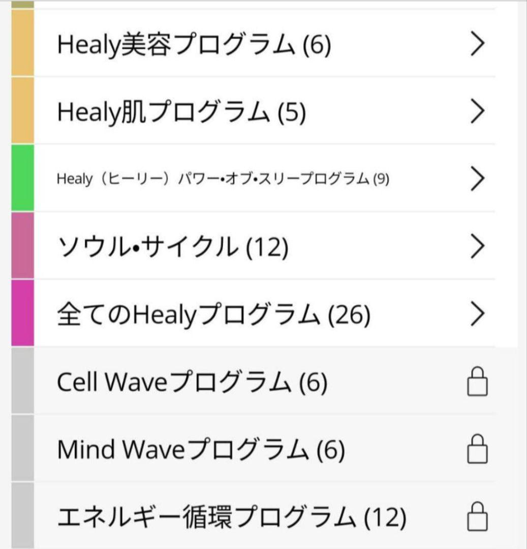 52.8万 保証内 Healy ヒーリープロフェッショナル 波動調整 オーラ