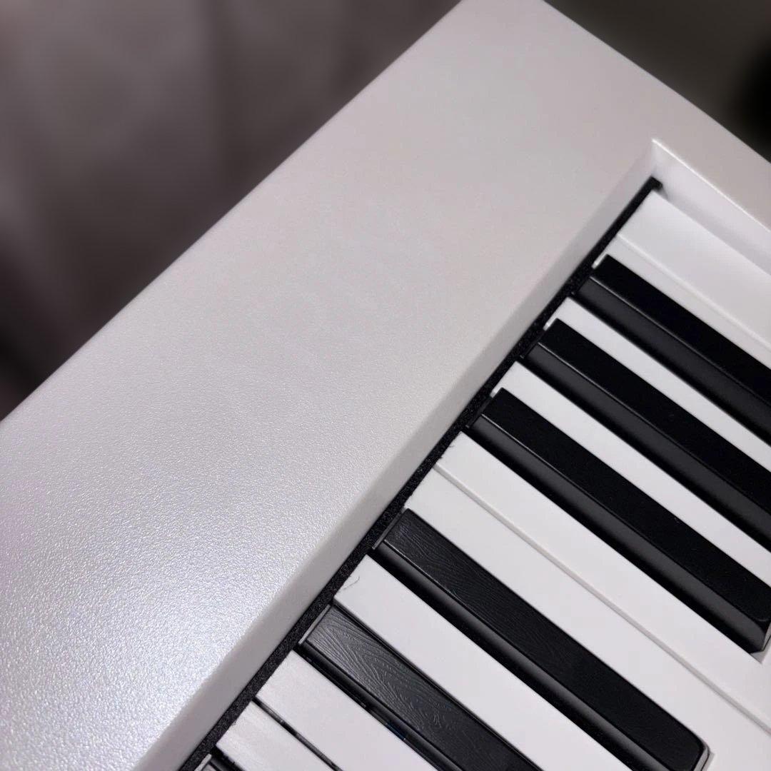 CARINA カリーナ 電子ピアノ 88鍵盤 LS-290