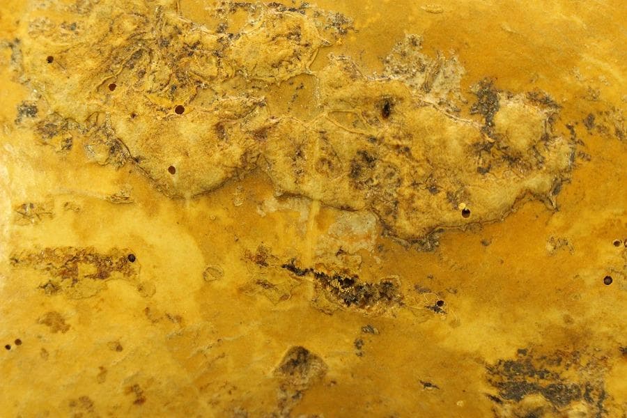 茶道具 瓢 炭斗 侘び寂び(ZE483) 2026年最新】瓢炭斗の人気アイテム -