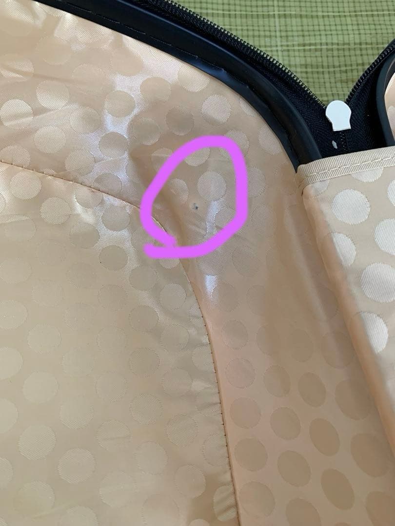 最終お値下げ　キッズトラベル キャリーケース