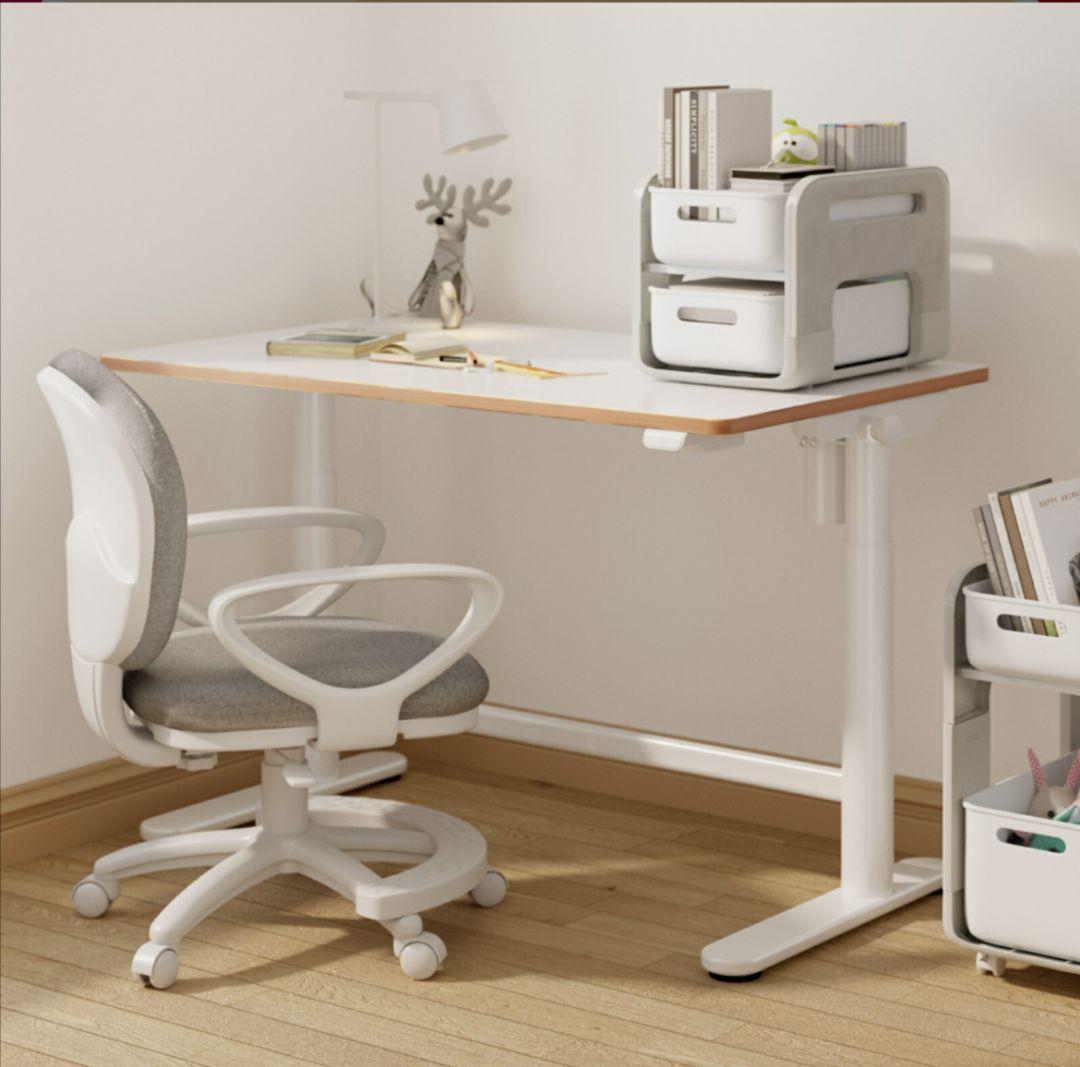 FlexiSpot 電動昇降式デスク SD1フレキシスポット 学習机