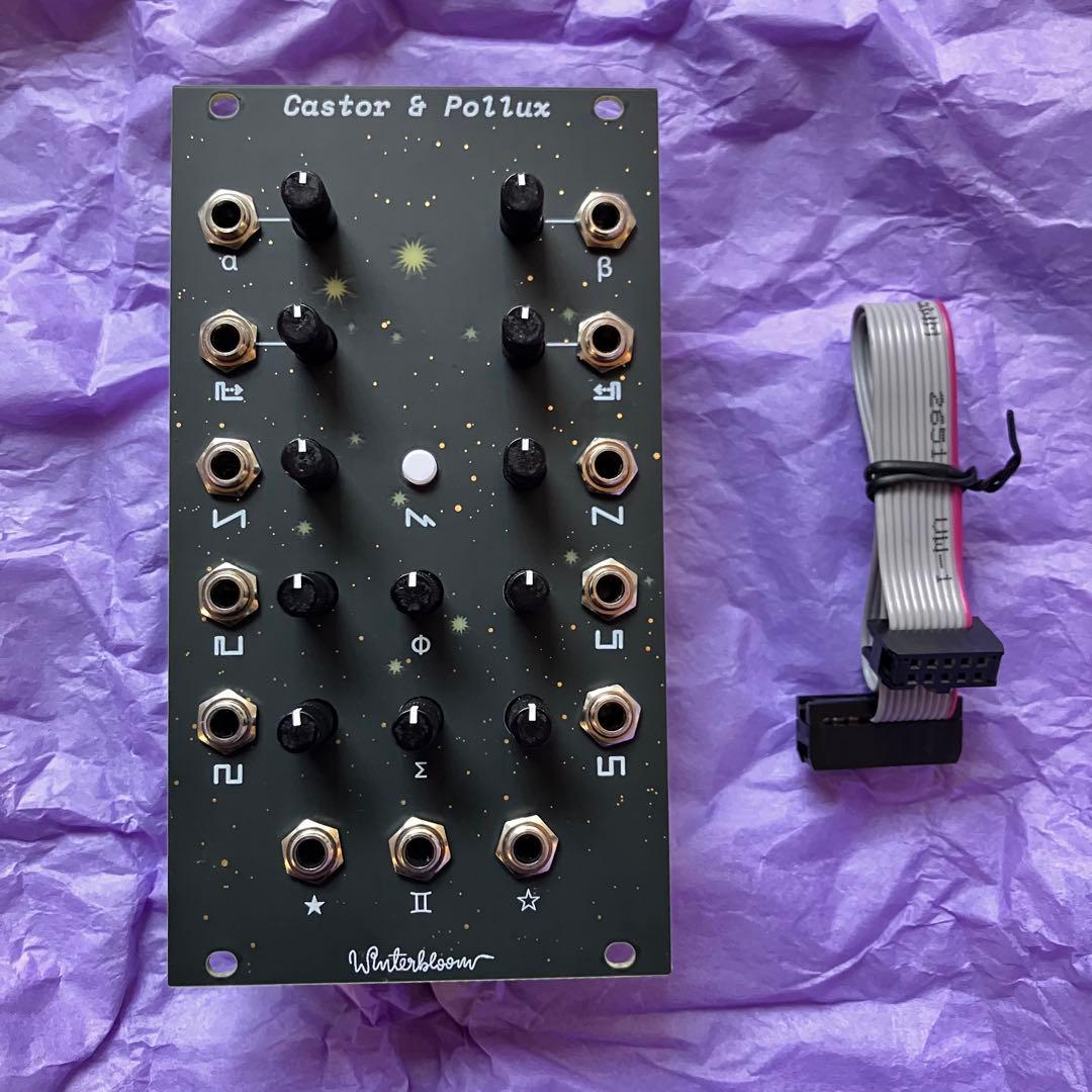 Winterbloom Castor & Pollux Ｖ1モジュラーシンセ Winterbloom Castor and Pollux - Perfect Circuit