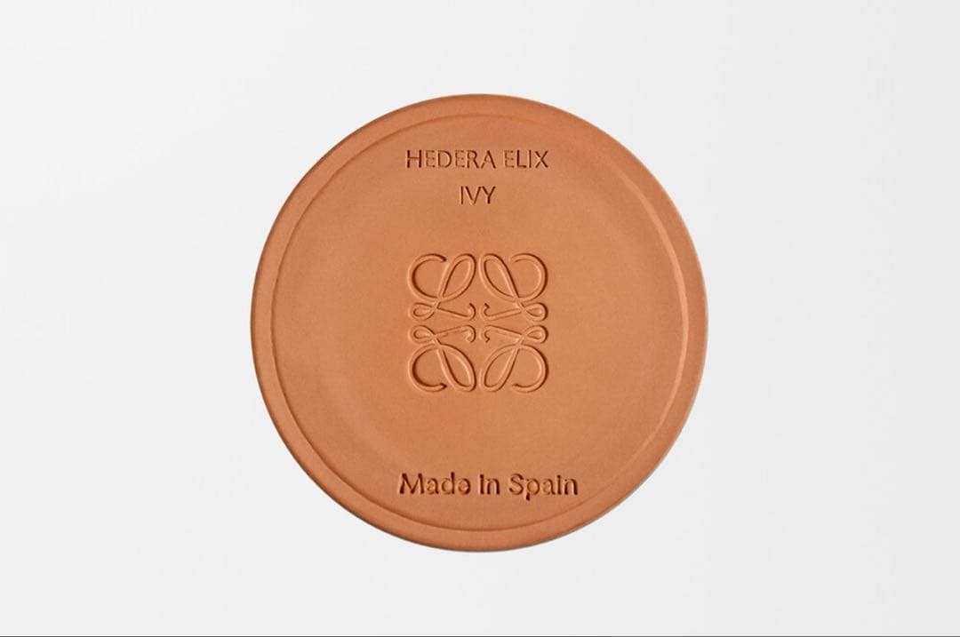 LOEWE アイビーキャンドル スモール　未使用