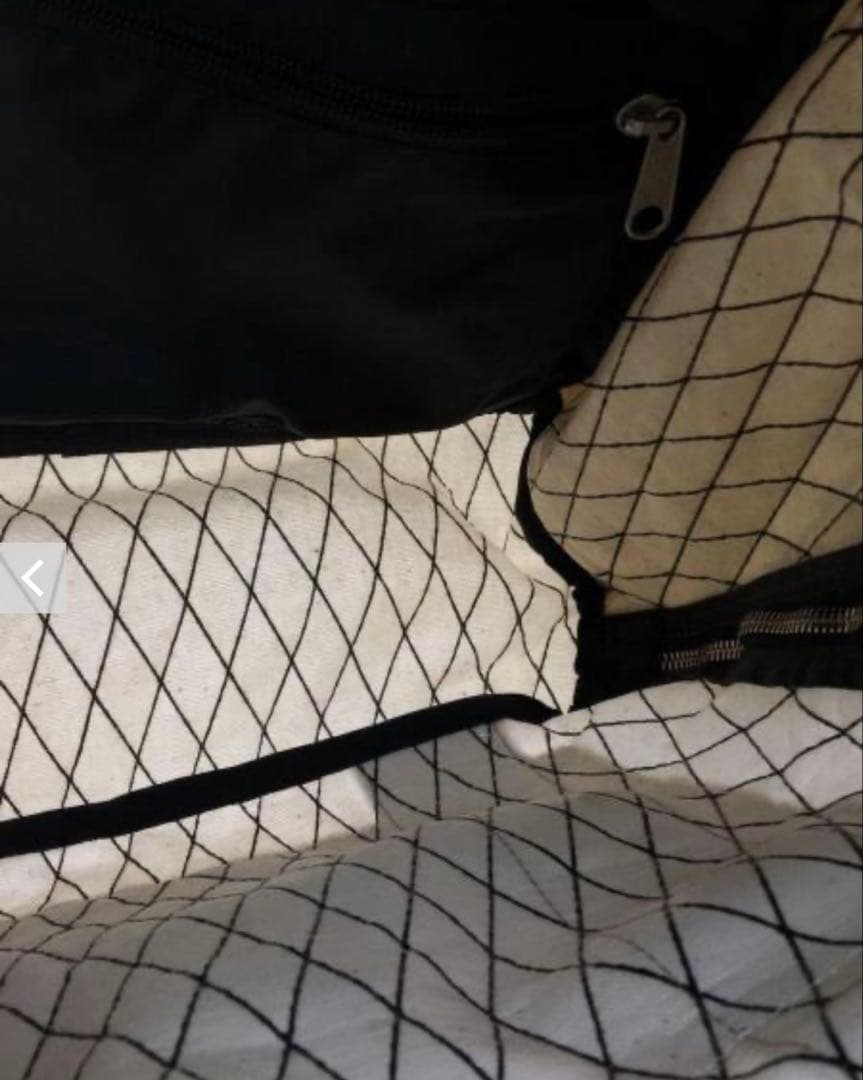 ✨希少✨ノースフェイス　リュック　バッグパック　パープルレーベル