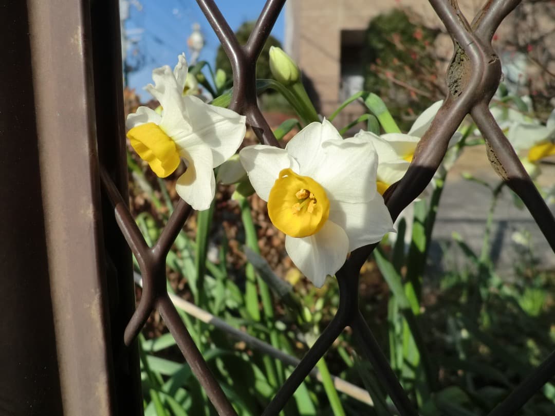 実写美⭕️外観美【動作確認済】CASIO EXILIM EX-Z2300　ゴールド