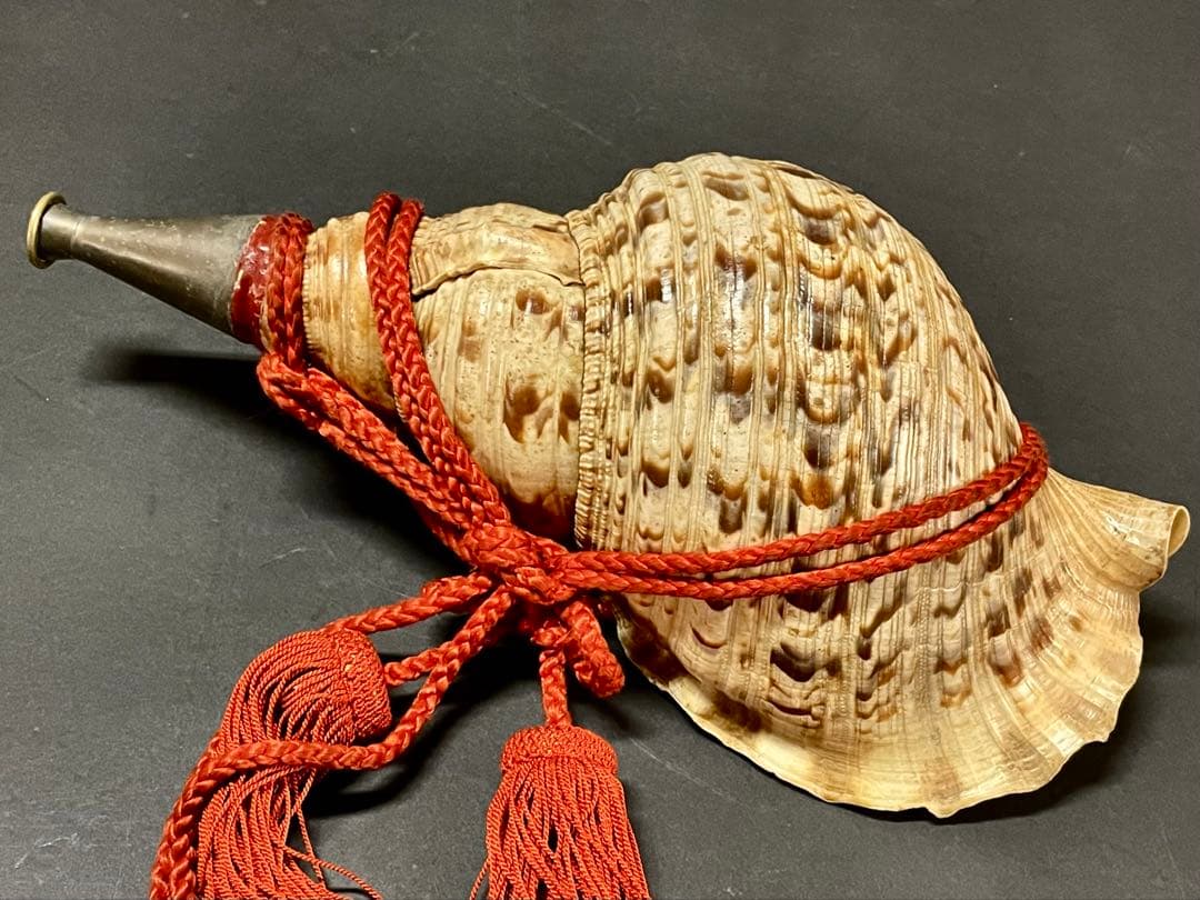 割引❣️【美品】「母」 法螺貝 ほら貝 口金 38cm 山伏 修験道 (218A)