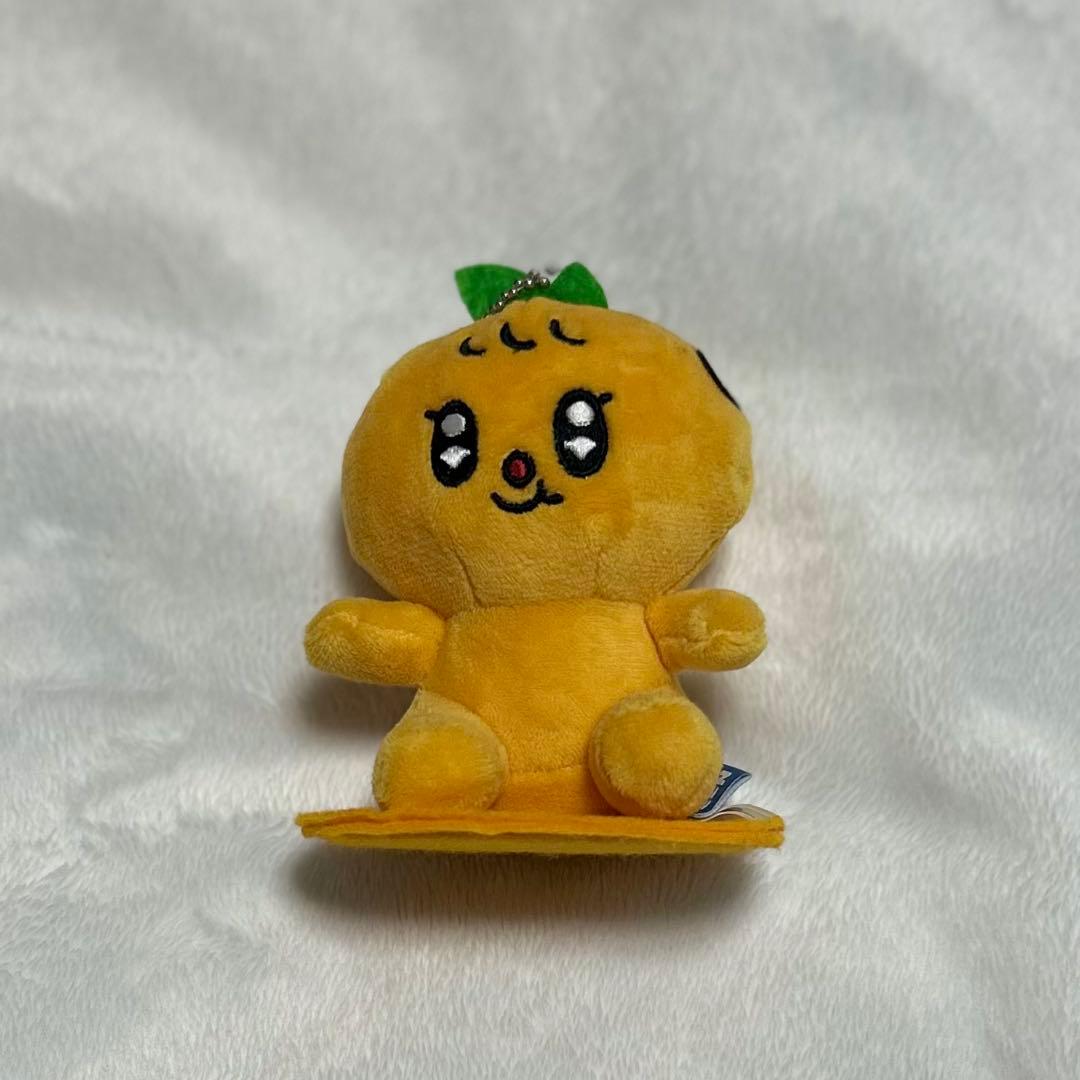 SEVENTEEN MINITEEN スングァン 公式 プギュリ - メルカリ