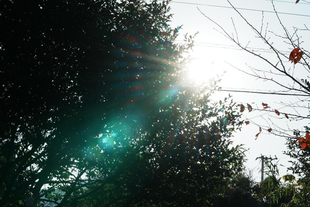 極美品 SONY SEL70200GM F2.8通し 大三元 プロ実写検証済