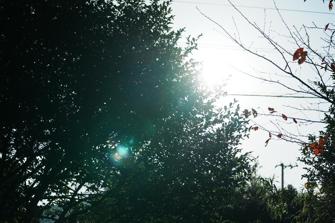 極美品 SONY SEL70200GM F2.8通し 大三元 プロ実写検証済