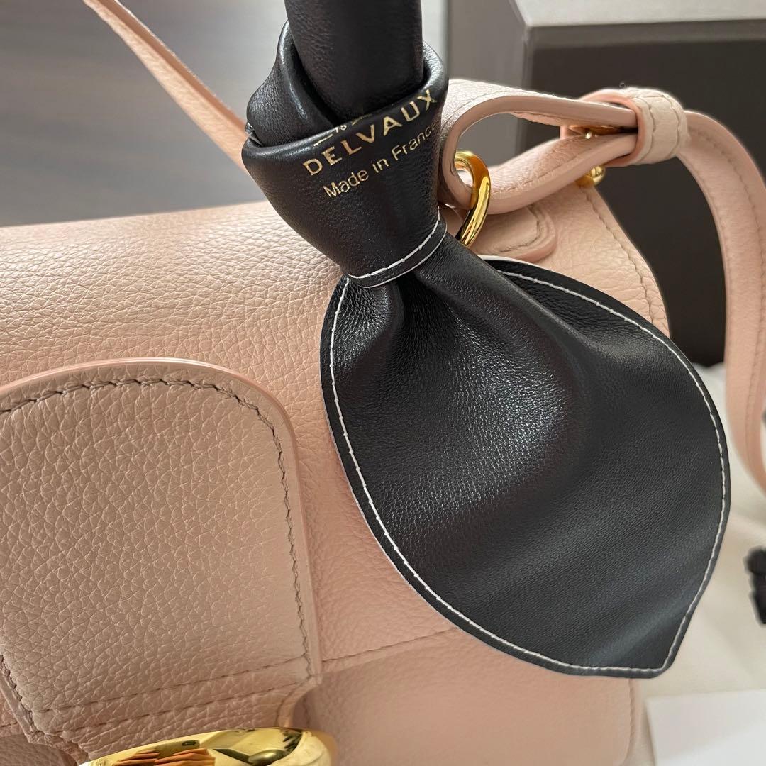 delvaux ブリヨン ミニ ヌード ハンドルリボン セット - メルカリ