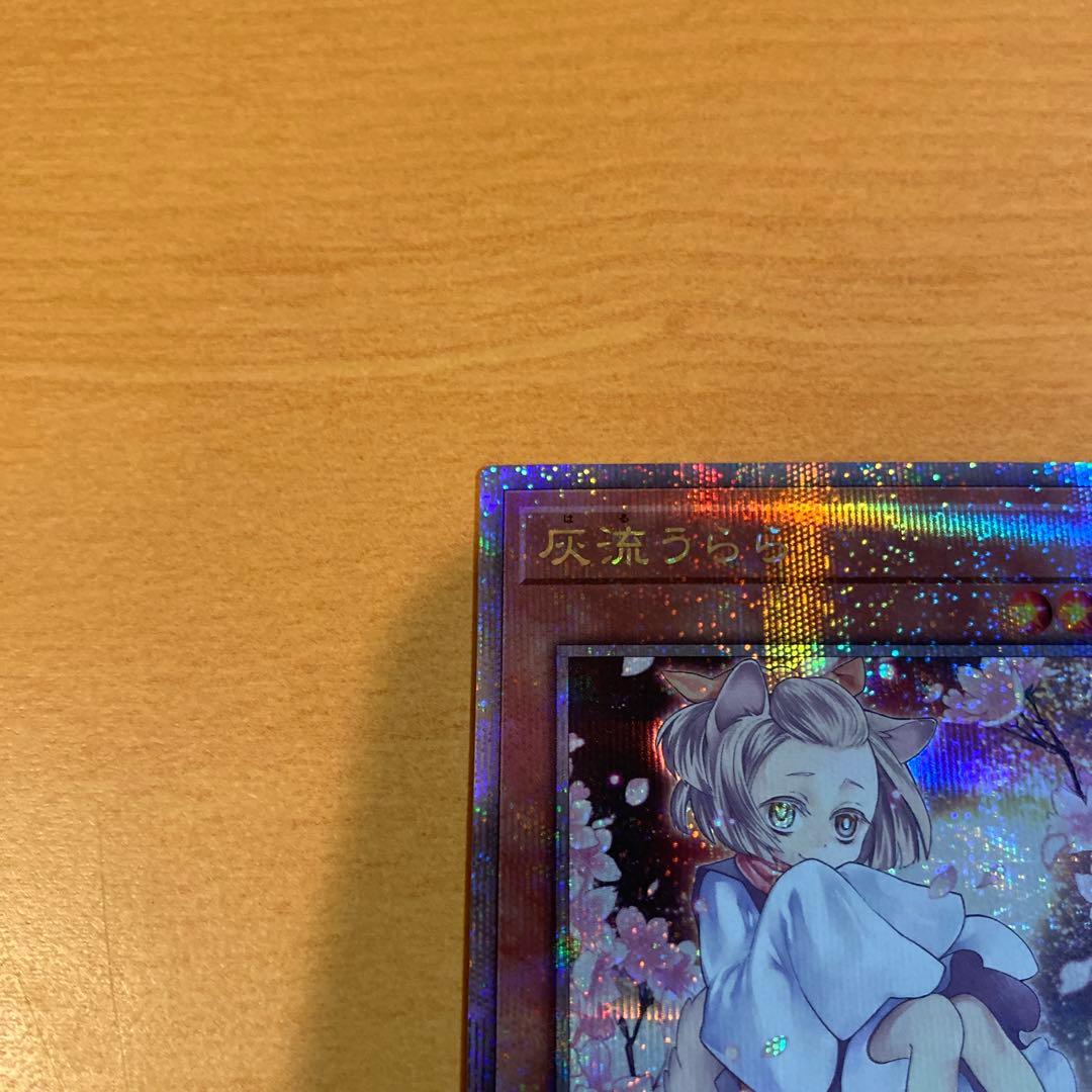 遊戯王　灰流うらら　25thシークレットレア　絵違い