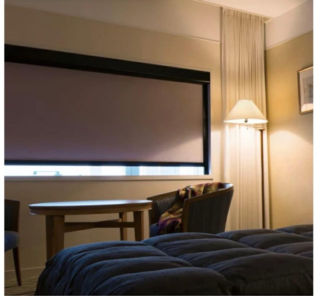 ニチベイ ロールカーテン ロールスクリーン フォルゼBC 遮光1級