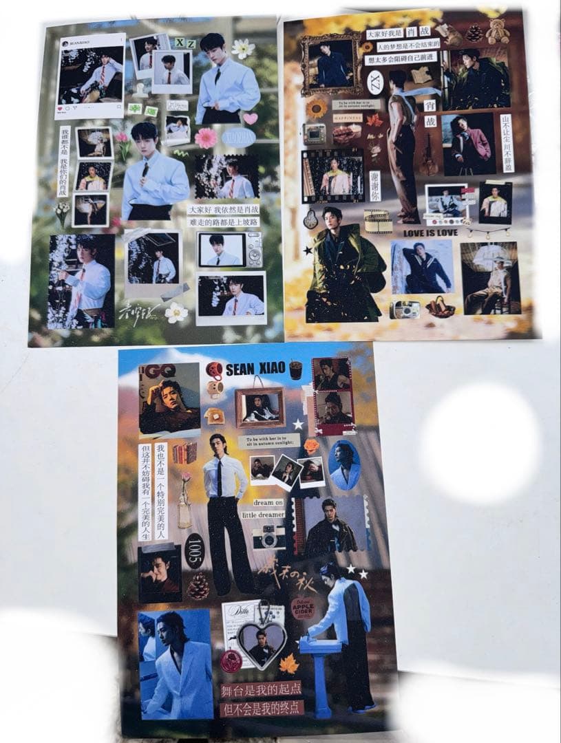 シャオジャン 肖战 年越し番組2026 ELLE A5キラキラシール3枚セット