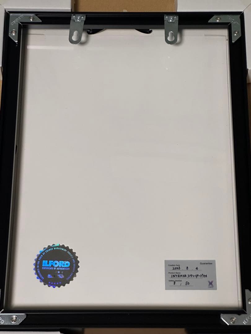 絵守未來 にもし イラストレーター 複製原画 たゆたう X-ART