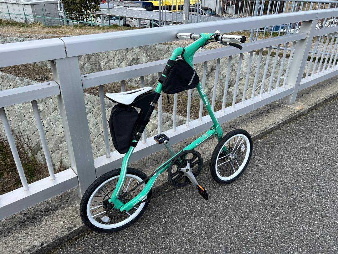 18インチ STRIDA SX カスタム　ミント　ストライダ