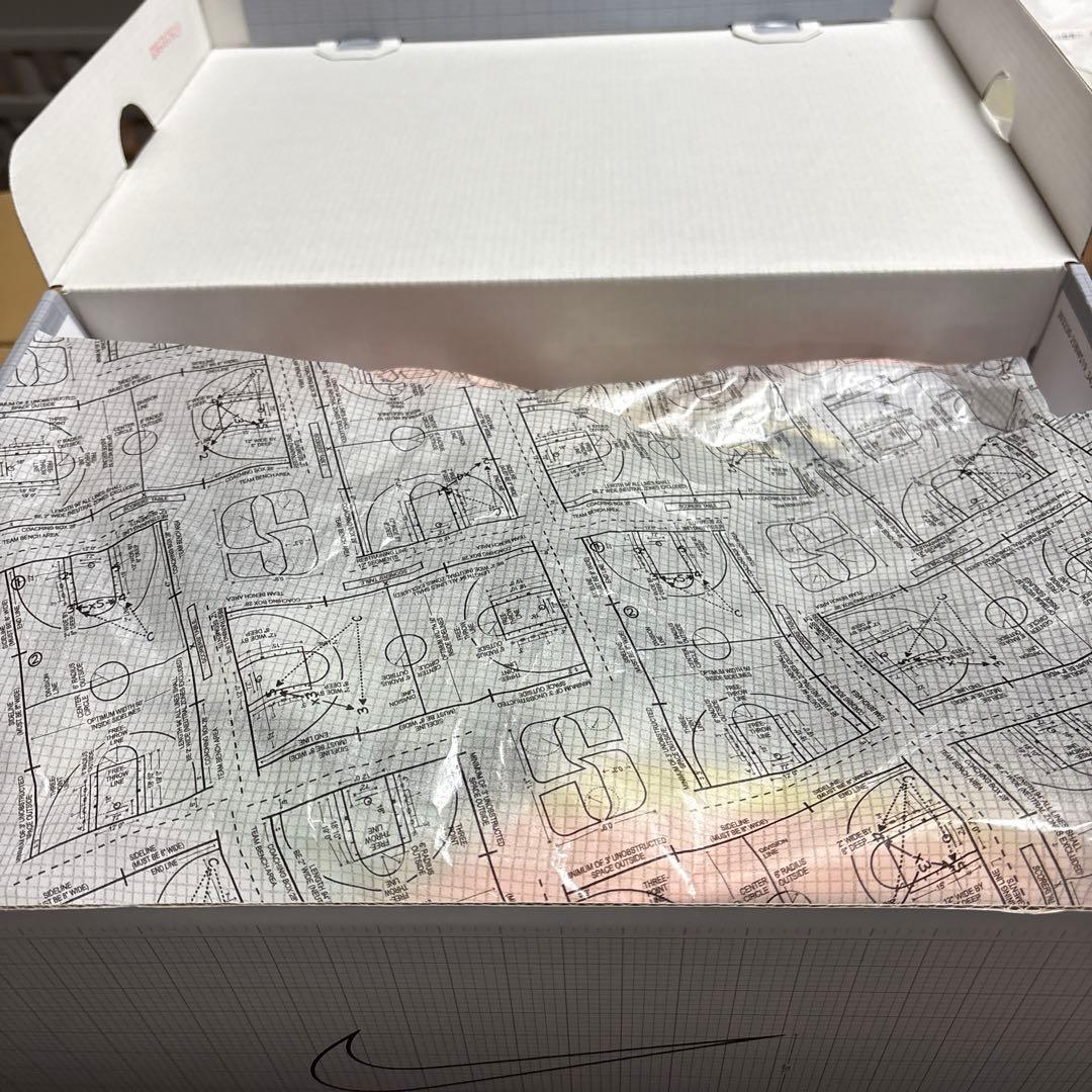 Nike Sabrina Ionescu シューズ 11.5