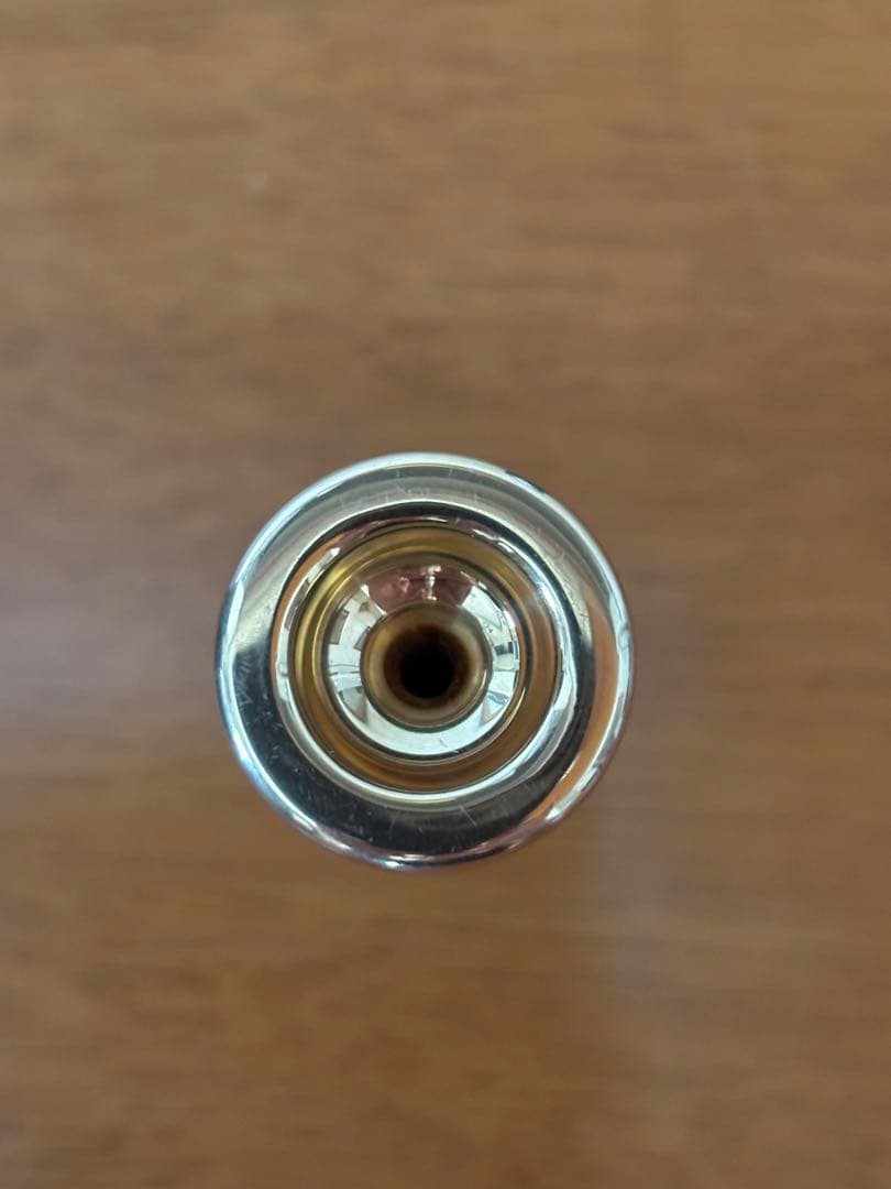 【ぢおろべ@プロフ必読】 シルキー　マウスピース 13A4A 金メッキ