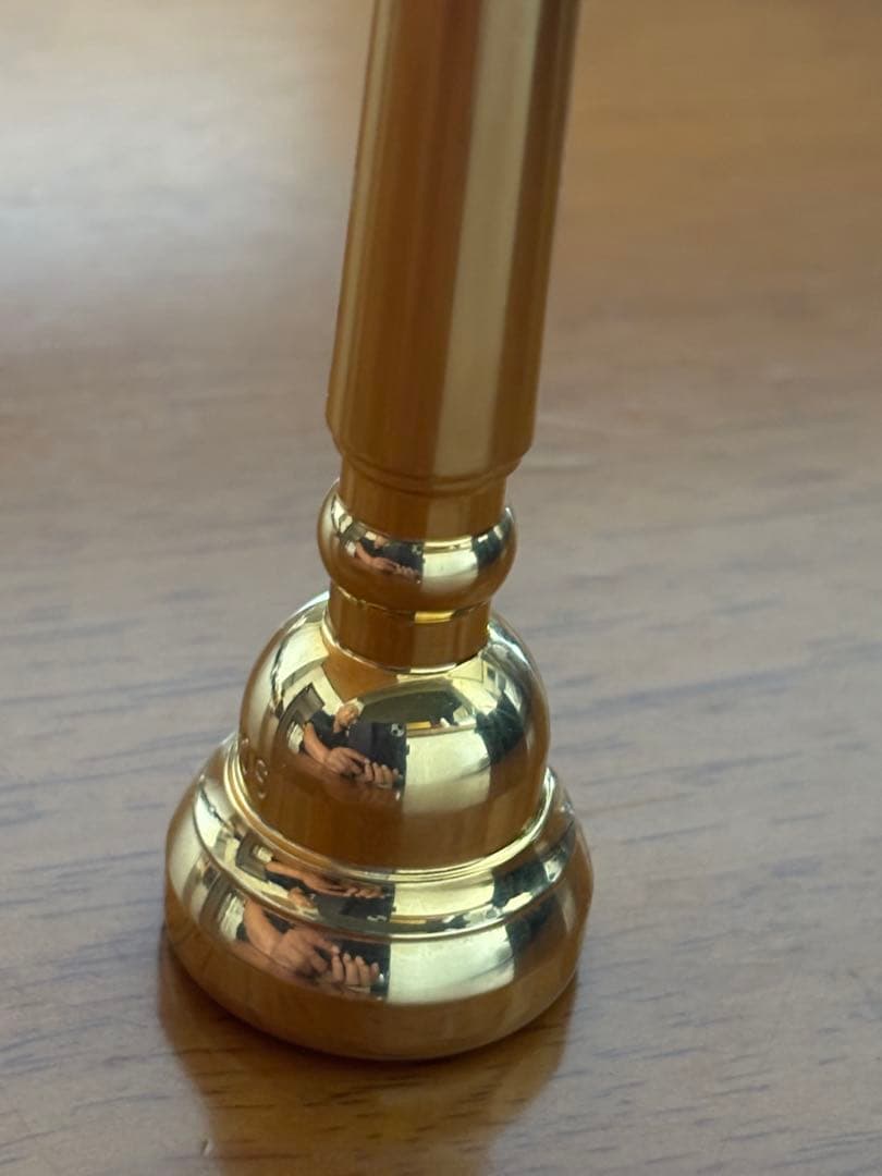 【ぢおろべ@プロフ必読】 シルキー　マウスピース 13A4A 金メッキ