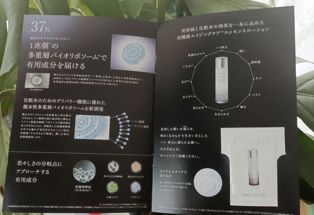 コスメデコルテ エターナルブルーム コレクション　　クリスマス コフレ 2025