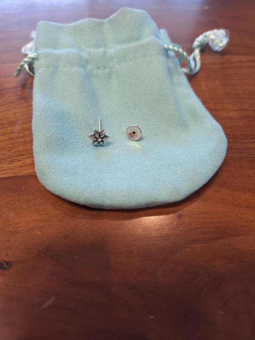 CHROME HEARTSスタースタッドピアス