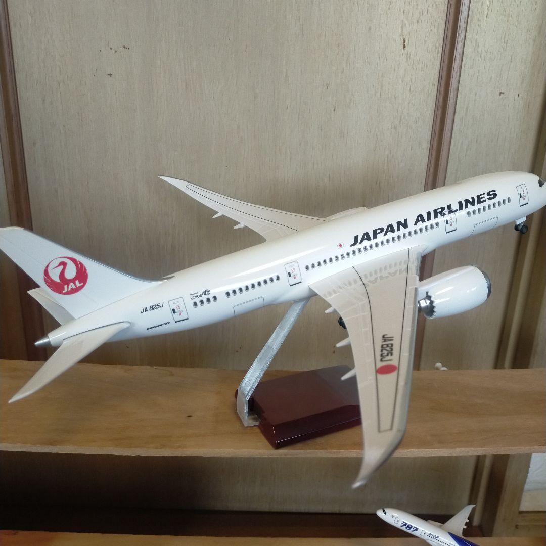 3/4NEW! JAL Boeing787 1/150=約45cm