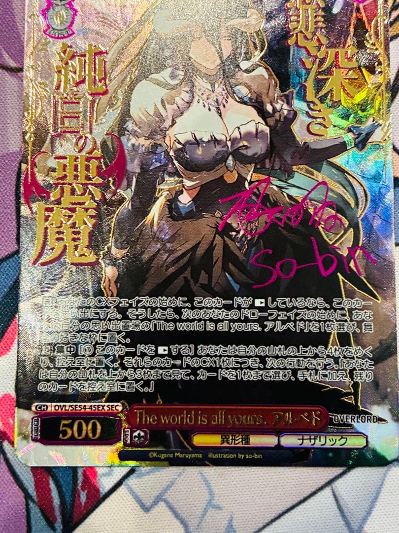 ヴァイス オーバーロード SEC サイン アルベド