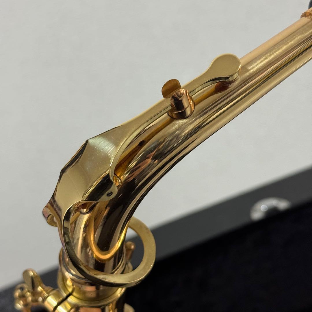 S.G Galante アルトサックス 管楽器 ケース付属 付属品 下倉楽器