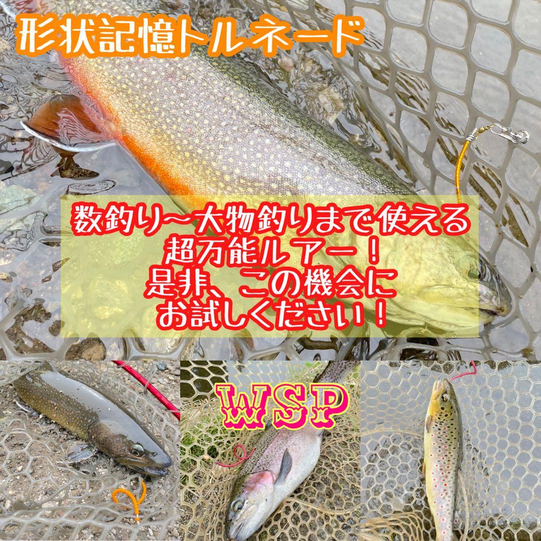 オーダー受付ページ】WSP 形状記憶 数釣り最強！超万能ルアー