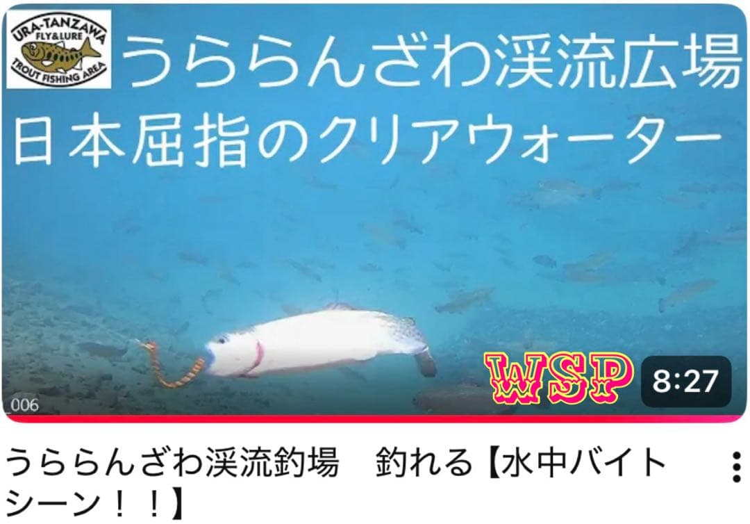 オーダー受付ページ】WSP 形状記憶 数釣り最強！超万能ルアー
