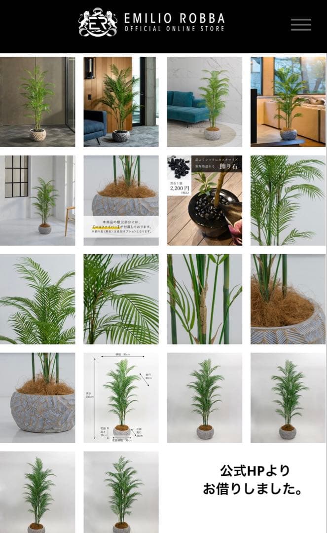 港区にて直接お渡しも可能】 エミリオ ロバ パーム グリーン - メルカリ